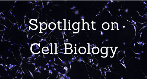 “Spotlight on Cell Biology”: Fondazione Pesenti e il CNR